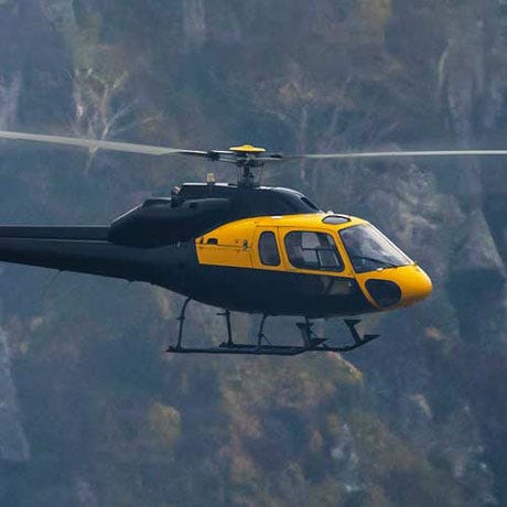 Black and Yellow Airbus Helicopters AS355 Black and Yellow Airbus Helicopters AS355